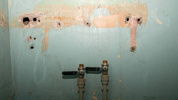 Best Fire Damage Restoration  in Rosedale, MS