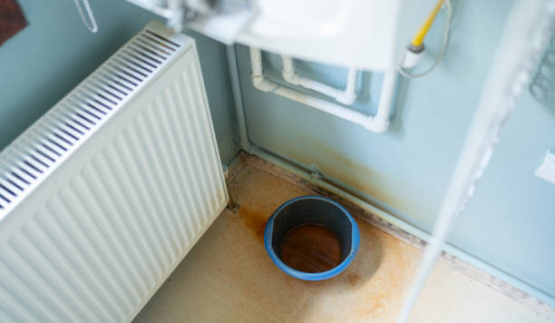 Best Water damage restoration insurance claims  in Rosedale, MS
